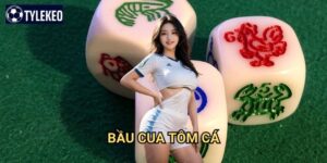 Bầu cua tôm cá Tỷ lệ kèo kiwi - Game Tết truyền thống đặc sắc Việt Nam