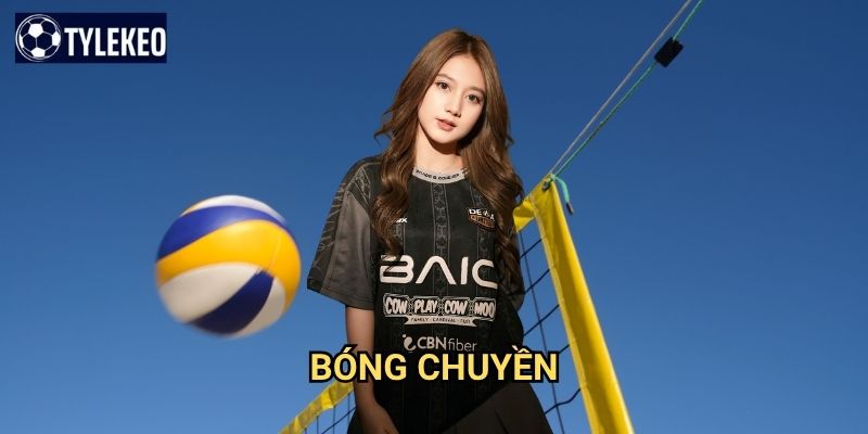 Bóng chuyền Tỷ lệ kèo kiwi - Cá cược volleyball với nhiều lựa chọn thú vị 1 Bóng chuyền Tỷ lệ kèo kiwi - Cá cược volleyball với nhiều lựa chọn thú vị