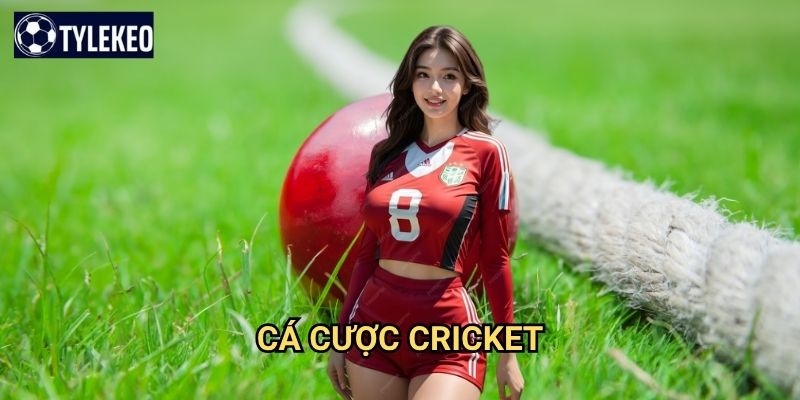 Cá cược Cricket Tỷ lệ kèo kiwi - Khám phá môn thể thao phổ biến châu Á
