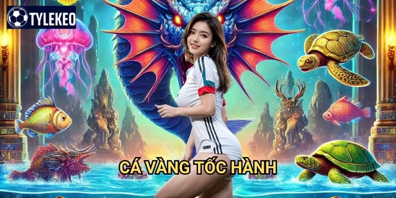 Cá Vàng Tốc Hành Tỷ lệ kèo kiwi - Tốc độ ánh sáng trong game bắn cá 1 Cá Vàng Tốc Hành Tỷ lệ kèo kiwi - Tốc độ ánh sáng trong game bắn cá