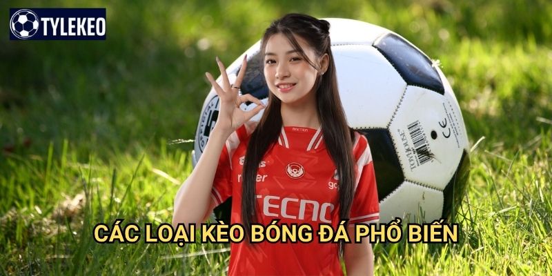 Bóng đá Tỷ lệ kèo kiwi - Cá cược thể thao số 1 với tỷ lệ kèo hấp dẫn 2 Các loại kèo bóng đá Tỷ lệ kèo kiwi phổ biến