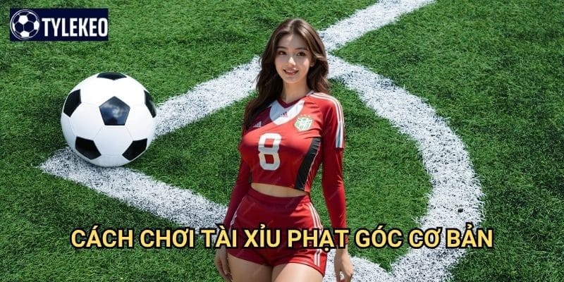 Tài xỉu phạt góc Tỷ lệ kèo kiwi - Dự đoán số lượng corner kick trong trận đấu 2 Cách chơi tài xỉu phạt góc cơ bản