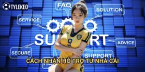Cách nhận hỗ trợ từ nhà cái Tỷ lệ kèo kiwi - Dịch vụ chăm sóc khách hàng 24/7