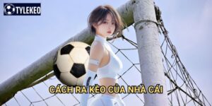Cách ra kèo của nhà cái Tỷ lệ kèo kiwi - Bí mật đằng sau tỷ lệ cá cược
