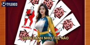 Chắn đánh như thế nào Tỷ lệ kèo kiwi - Hướng dẫn chi tiết game chắn