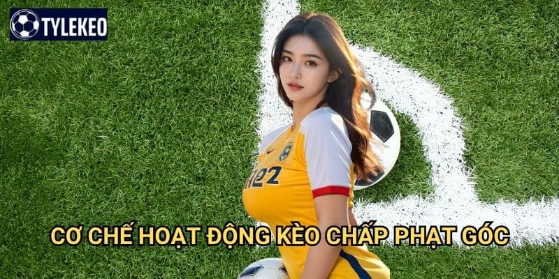 Kèo chấp phạt góc Tỷ lệ kèo kiwi - Handicap corner kick chuyên nghiệp 2 Cơ chế hoạt động kèo chấp phạt góc