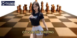 Cờ vua đổi thưởng Tỷ lệ kèo kiwi - Chess online với giải thưởng hấp dẫn