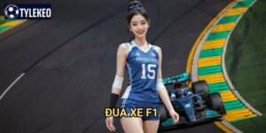 Đua xe F1 Tỷ lệ kèo kiwi - Trải nghiệm tốc độ đỉnh cao thế giới