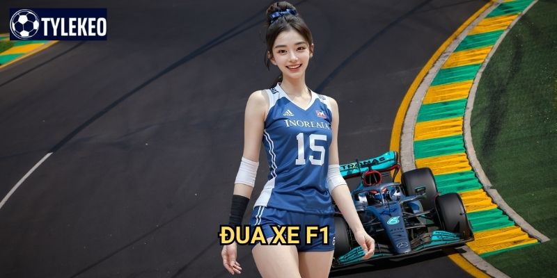Đua xe F1 Tỷ lệ kèo kiwi - Trải nghiệm tốc độ đỉnh cao thế giới 1 Đua xe F1 Tỷ lệ kèo kiwi - Trải nghiệm tốc độ đỉnh cao thế giới