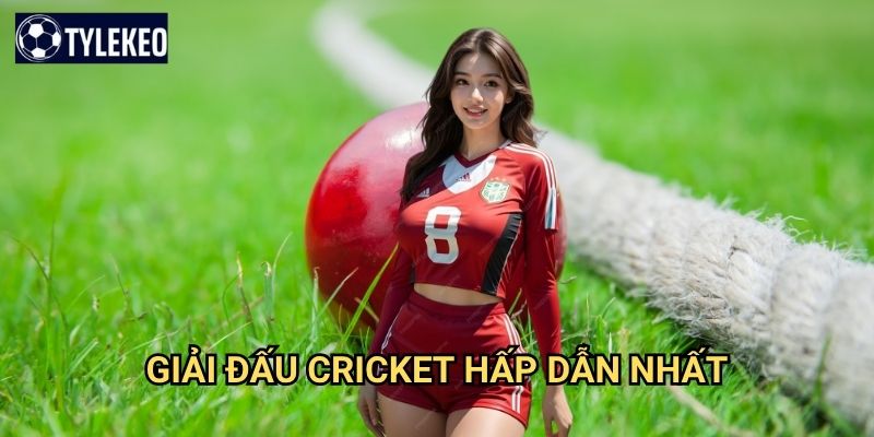 Cá cược Cricket Tỷ lệ kèo kiwi - Khám phá môn thể thao phổ biến châu Á 2 Giải đấu Cricket hấp dẫn nhất