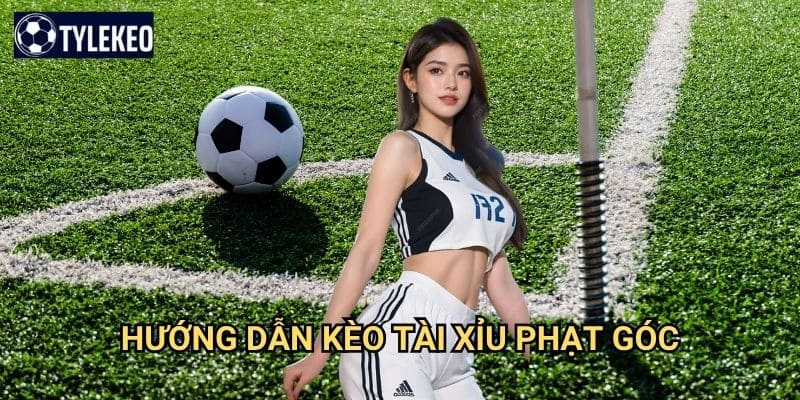Kèo tài xỉu phạt góc Tỷ lệ kèo kiwi - Over Under corner chính xác nhất 2 Hướng dẫn kèo tài xỉu phạt góc