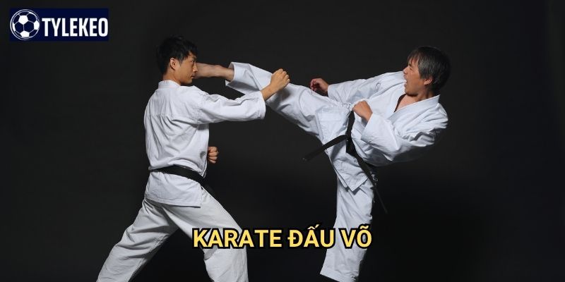Karate đấu võ Tỷ lệ kèo kiwi - Làm chủ nghệ thuật cược võ Nhật Bản