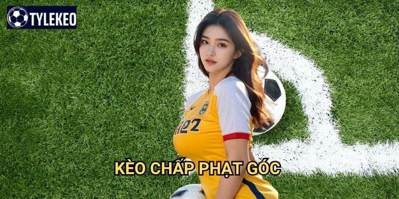 Kèo chấp phạt góc Tỷ lệ kèo kiwi - Handicap corner kick chuyên nghiệp 1 Kèo chấp phạt góc Tỷ lệ kèo kiwi - Handicap corner kick chuyên nghiệp