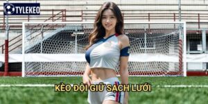 Kèo đội giữ sạch lưới Tỷ lệ kèo kiwi - Clean Sheet betting chuyên nghiệp