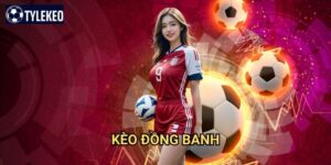 Kèo đồng banh Tỷ lệ kèo kiwi - Phân tích cược bóng đá cân bằng hoàn hảo