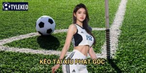 Kèo tài xỉu phạt góc Tỷ lệ kèo kiwi - Over Under corner chính xác nhất