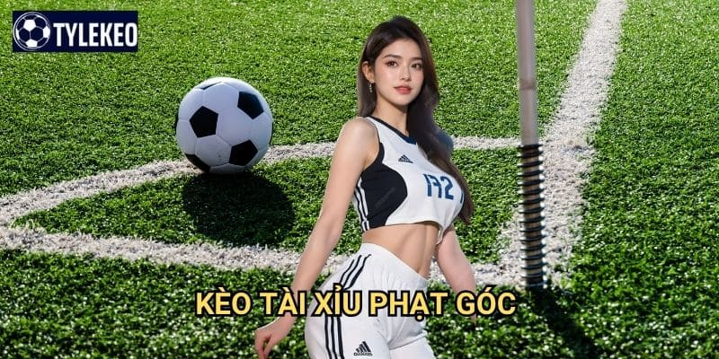 Kèo tài xỉu phạt góc Tỷ lệ kèo kiwi - Over Under corner chính xác nhất