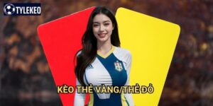Kèo thẻ vàng/thẻ đỏ Tỷ lệ kèo kiwi - Cá cược thẻ phạt chuyên sâu
