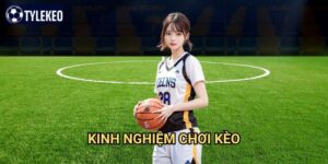 Kinh nghiệm chơi kèo Tỷ lệ kèo kiwi - Bí kíp từ cao thủ cá cược