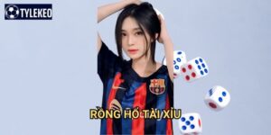 Rồng Hổ Tài Xỉu Tỷ lệ kèo kiwi - Game đối kháng hấp dẫn với tỷ lệ thắng cao