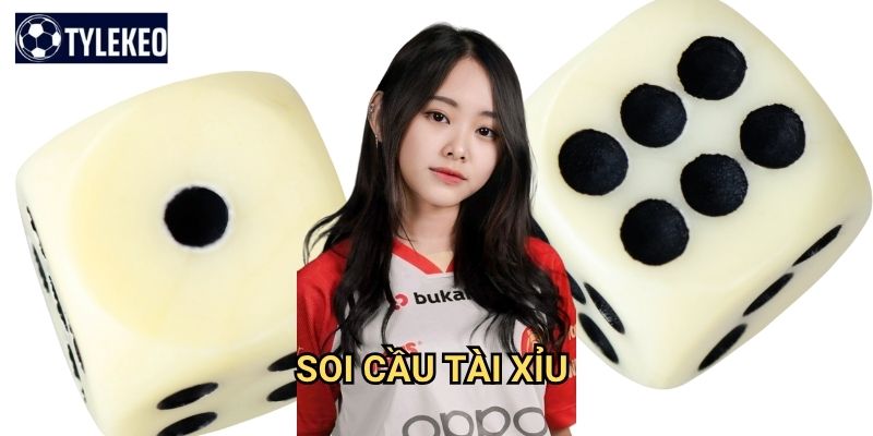 Soi cầu tài xỉu Tỷ lệ kèo kiwi - Phương pháp dự đoán kết quả chính xác 1 Soi cầu tài xỉu Tỷ lệ kèo kiwi - Phương pháp dự đoán kết quả chính xác