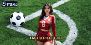 Tài xỉu phạt góc Tỷ lệ kèo kiwi - Dự đoán số lượng corner kick trong trận đấu