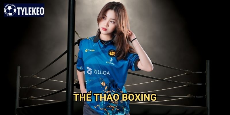 Thể thao Boxing Tỷ lệ kèo kiwi - Khám phá cơ hội cược đỉnh cao 1 Thể thao Boxing Tỷ lệ kèo kiwi - Khám phá cơ hội cược đỉnh cao