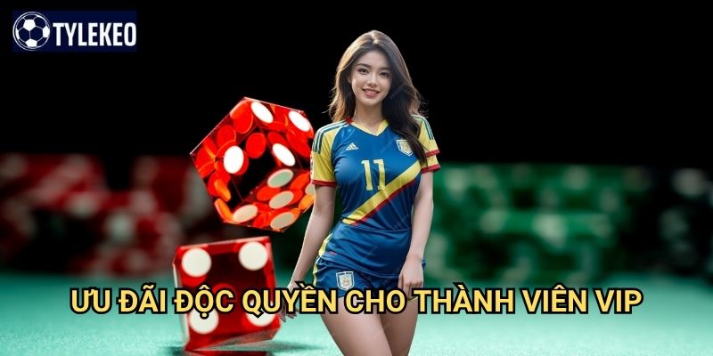 Tài Xỉu Kim Cương Tỷ lệ kèo kiwi - Sảnh VIP dành cho bet thủ đẳng cấp 3 Ưu đãi độc quyền cho thành viên VIP