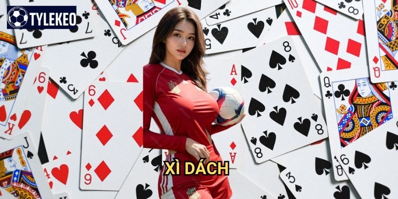 Xì dách Tỷ lệ kèo kiwi - Blackjack Việt Nam với luật chơi độc đáo 1 Xì dách Tỷ lệ kèo kiwi - Blackjack Việt Nam với luật chơi độc đáo