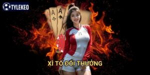 Xì tố đổi thưởng Tỷ lệ kèo kiwi - Poker Việt Nam với giải thưởng hấp dẫn