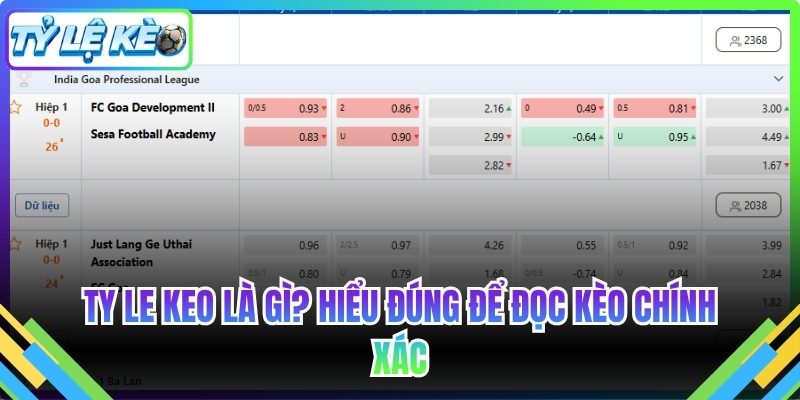 Ty le keo là gì? Hiểu đúng để đọc kèo chính xác