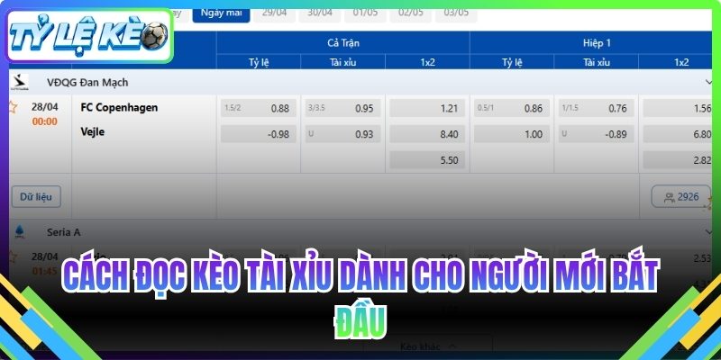 Cách đọc kèo tài xỉu dành cho người mới bắt đầu